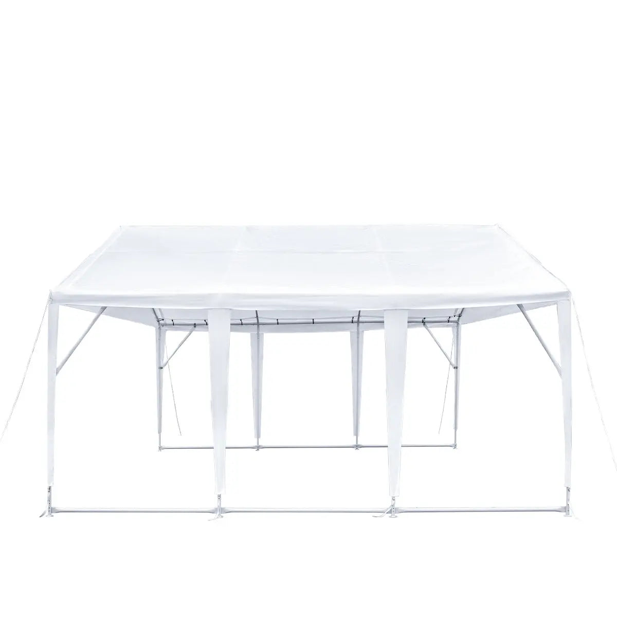 20' x 20' Heavy Duty Outdoor Party Tent, PE Tarpaulin Fabric, 6'6" Overhead, 10' Peak Ceiling, TMG-PT2020A