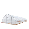 25' x 50' Tunnel Greenhouse Grow Tent w/6 Mil Clear EVA Plastic Film, Cold Frame, Hand Crank Roll-Up Sides, Peak Ceiling Roof, TMG-GH2550-V2(Previously GH2550)