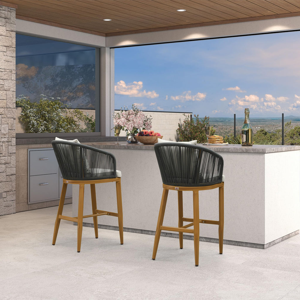PURPLE LEAF Outdoor Bar Stools Patio Modern Aluminum Rattan High Back & Arms Bar Chairs with Removable Cushions and Pillows  for Outdoor or Indoor