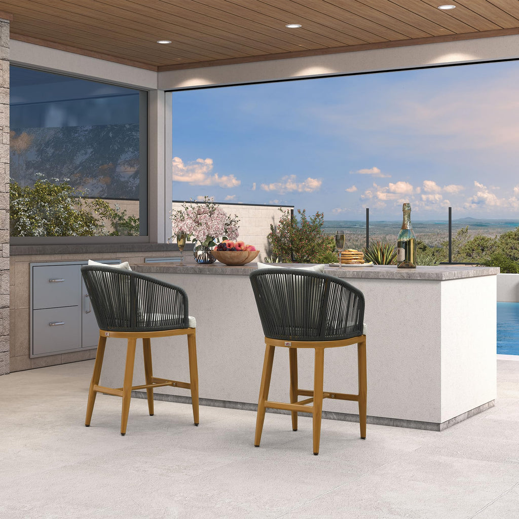 PURPLE LEAF Outdoor Bar Stools Patio Modern Aluminum Rattan High Back & Arms Bar Chairs with Removable Cushions and Pillows  for Outdoor or Indoor