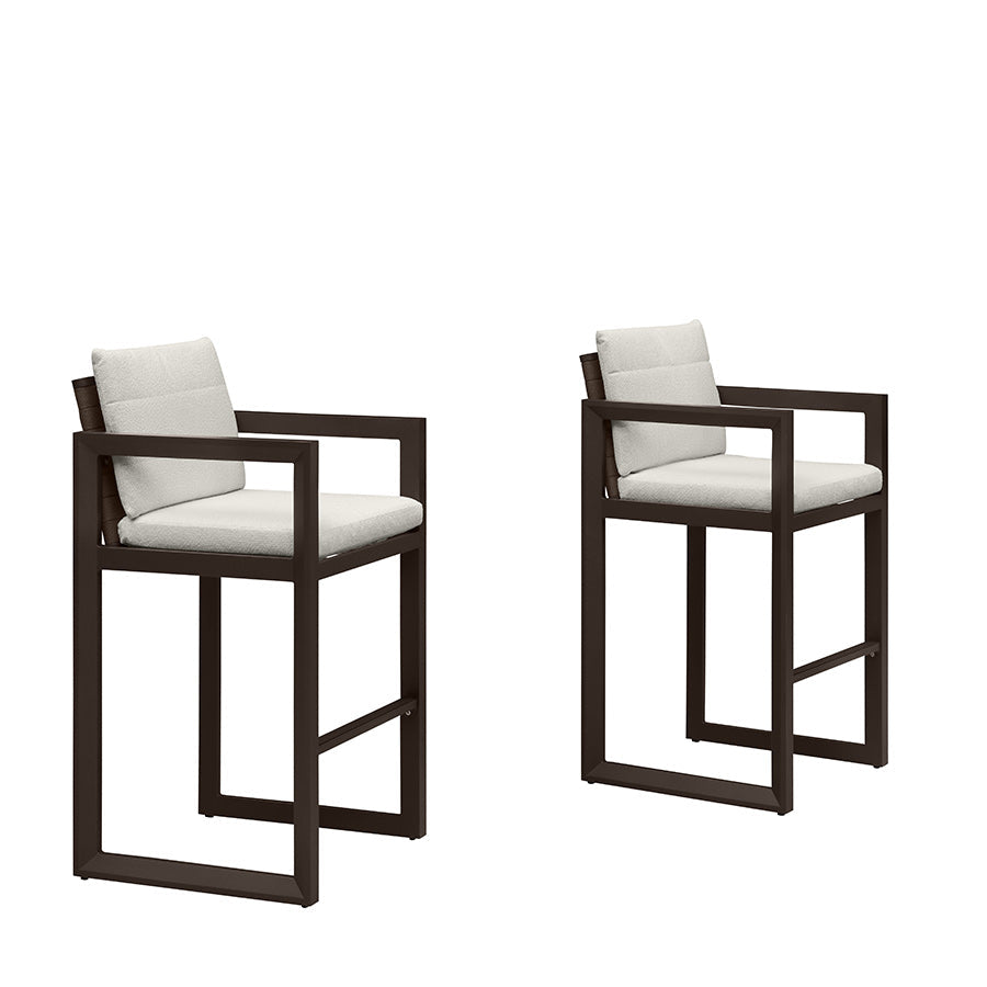 PURPLE LEAF Caesar Bar Stools Modern Aluminum Barstools with Stainless Removable Cushion for Kitchen Outside Island Backyard