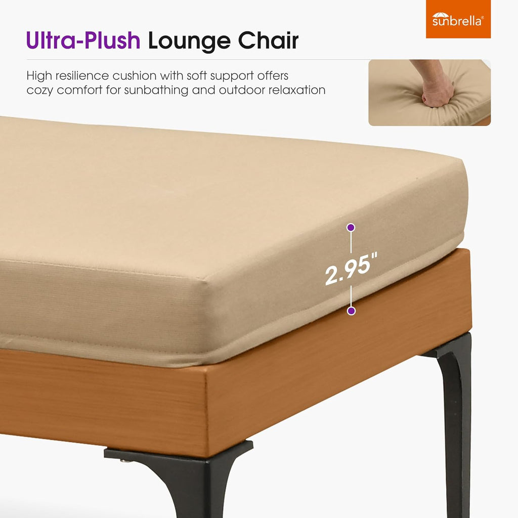 PURPLE LEAF Outdoor Chaise Lounge Sunbrella Patio Lounge Chair Recliner and Cushion for Poolside Balcony Backyard