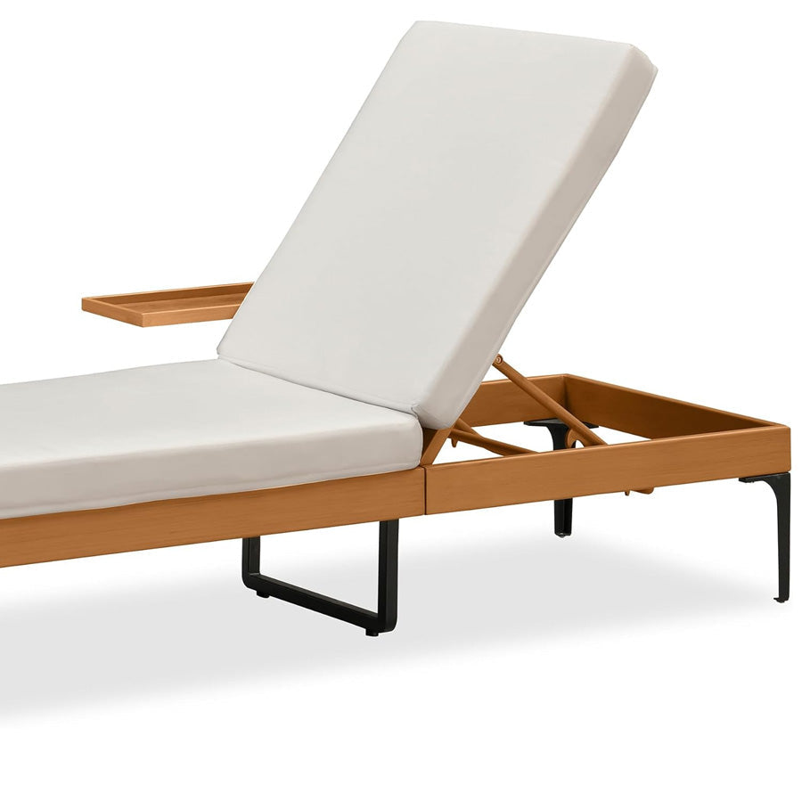 PURPLE LEAF Outdoor Chaise Lounge Sunbrella Patio Lounge Chair Recliner and Cushion for Poolside Balcony Backyard