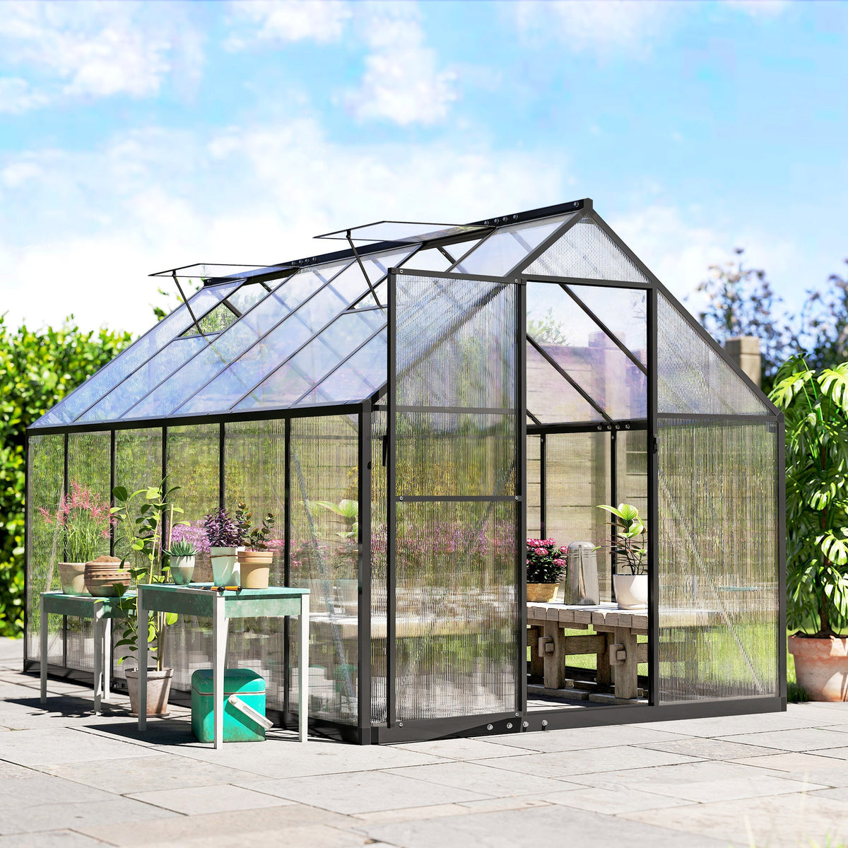 11' x 6' Polycarbonate Walk-in Greenhouse, Black
