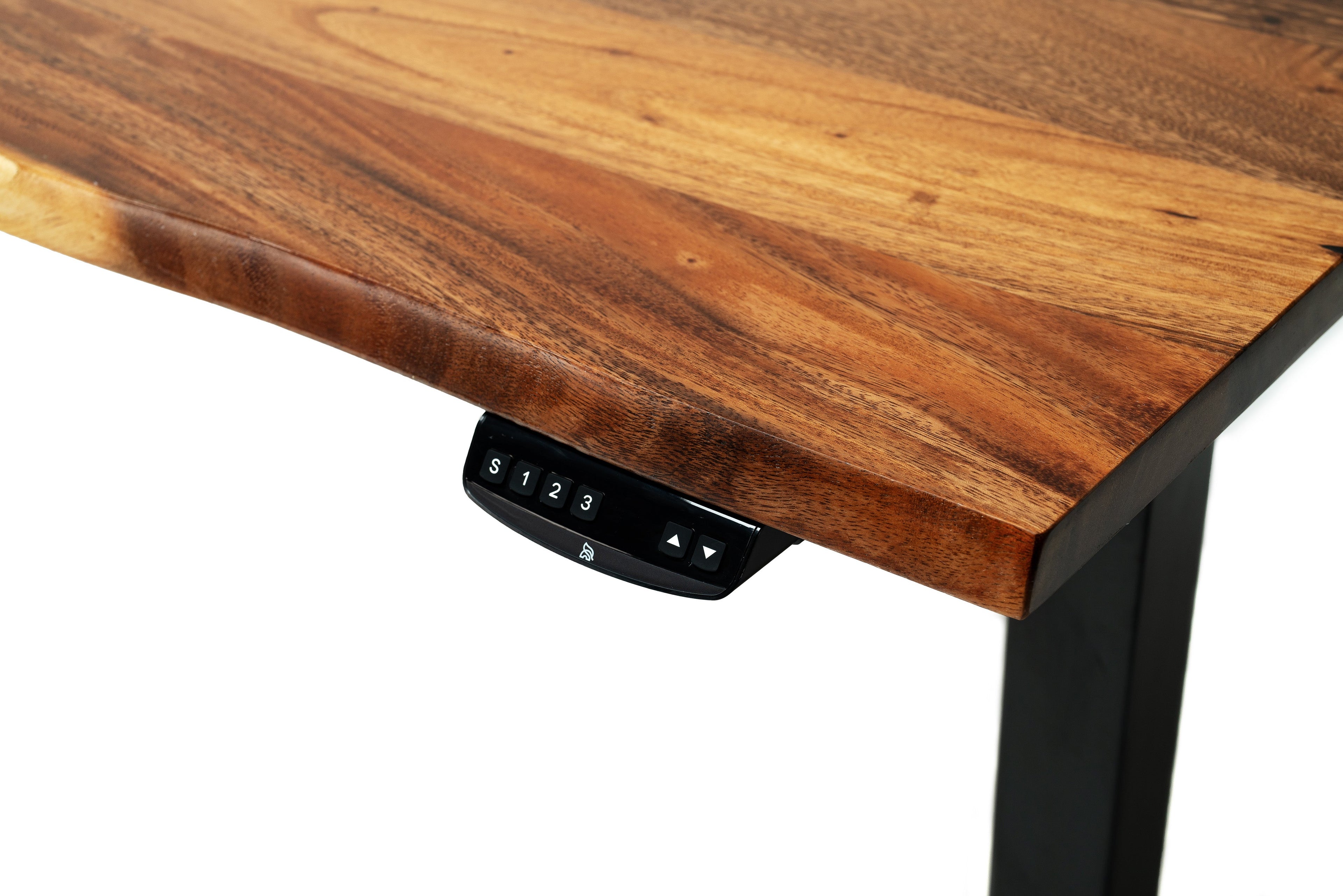 Elephant Desks - Height Adjustable Live Edge Standing Desk - Wavy Series (Solid Wood and A Live Edge)
