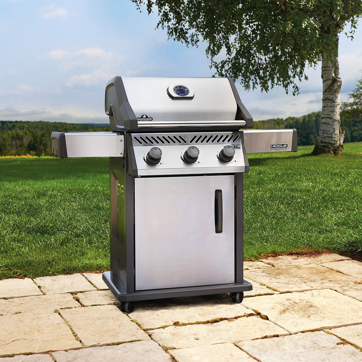 Napoleon Rogue 425 – Barbecue à gaz 3 brûleurs, acier inoxydable