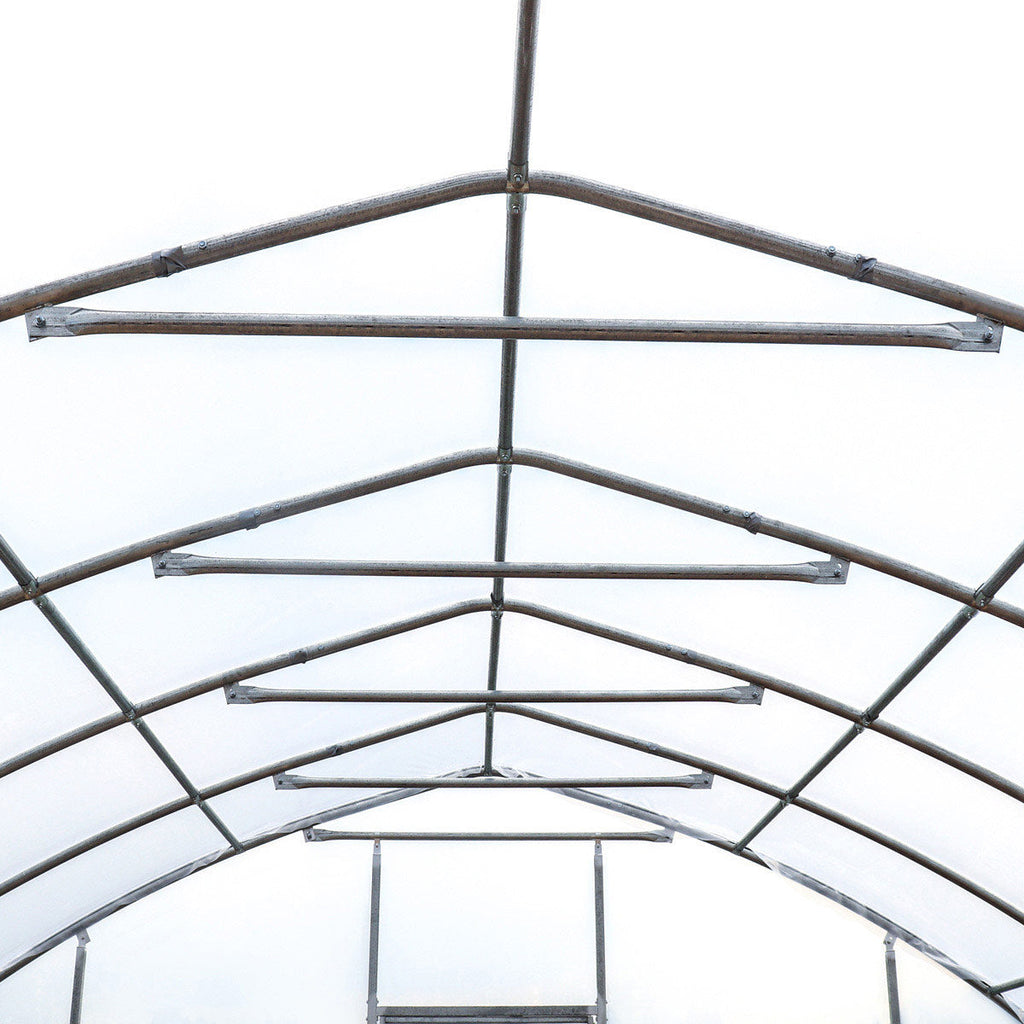 25' x 100' Tunnel Greenhouse Grow Tent w/6 Mil Clear EVA Plastic Film, Cold Frame, Hand Crank Roll-Up Sides, Peak Ceiling Roof, TMG-GH25100-V2 (Previously GH25100)