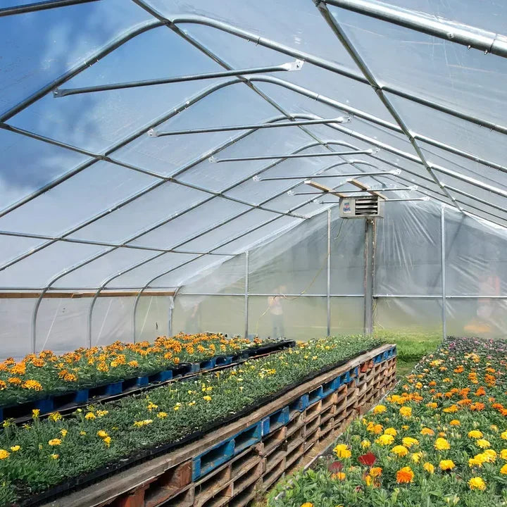 30' x 100' Commercial Tunnel Greenhouse with 6 Mil Clear Poly Covers and Roll-Up Sides TMG-GH30100-V2 (Previously GH30100)
