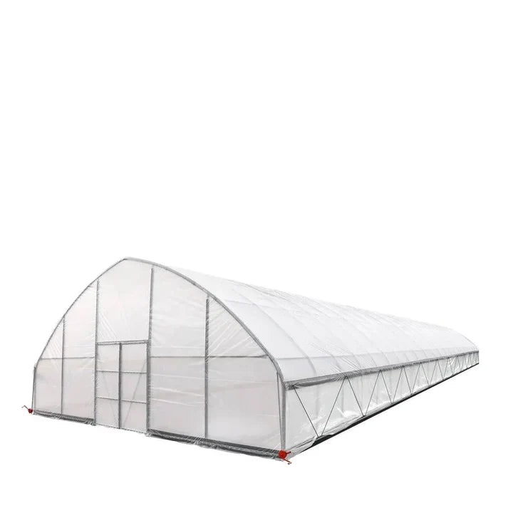 30' x 100' Commercial Tunnel Greenhouse with 6 Mil Clear Poly Covers and Roll-Up Sides TMG-GH30100-V2 (Previously GH30100)