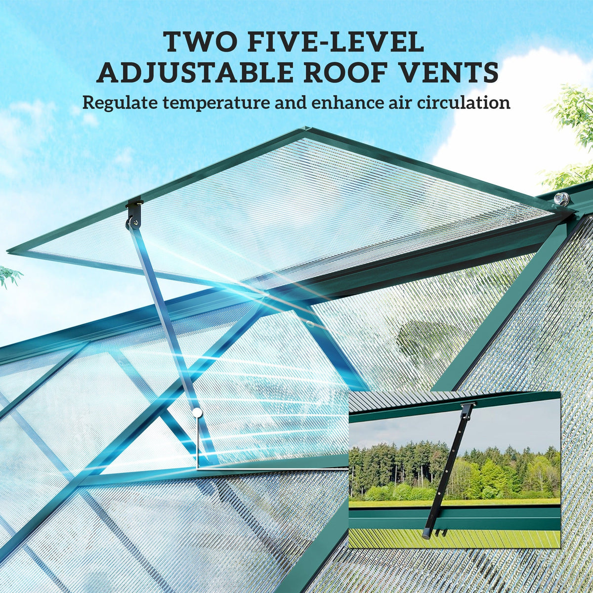 11' x 6' Polycarbonate Walk-in Greenhouse, Dark Green