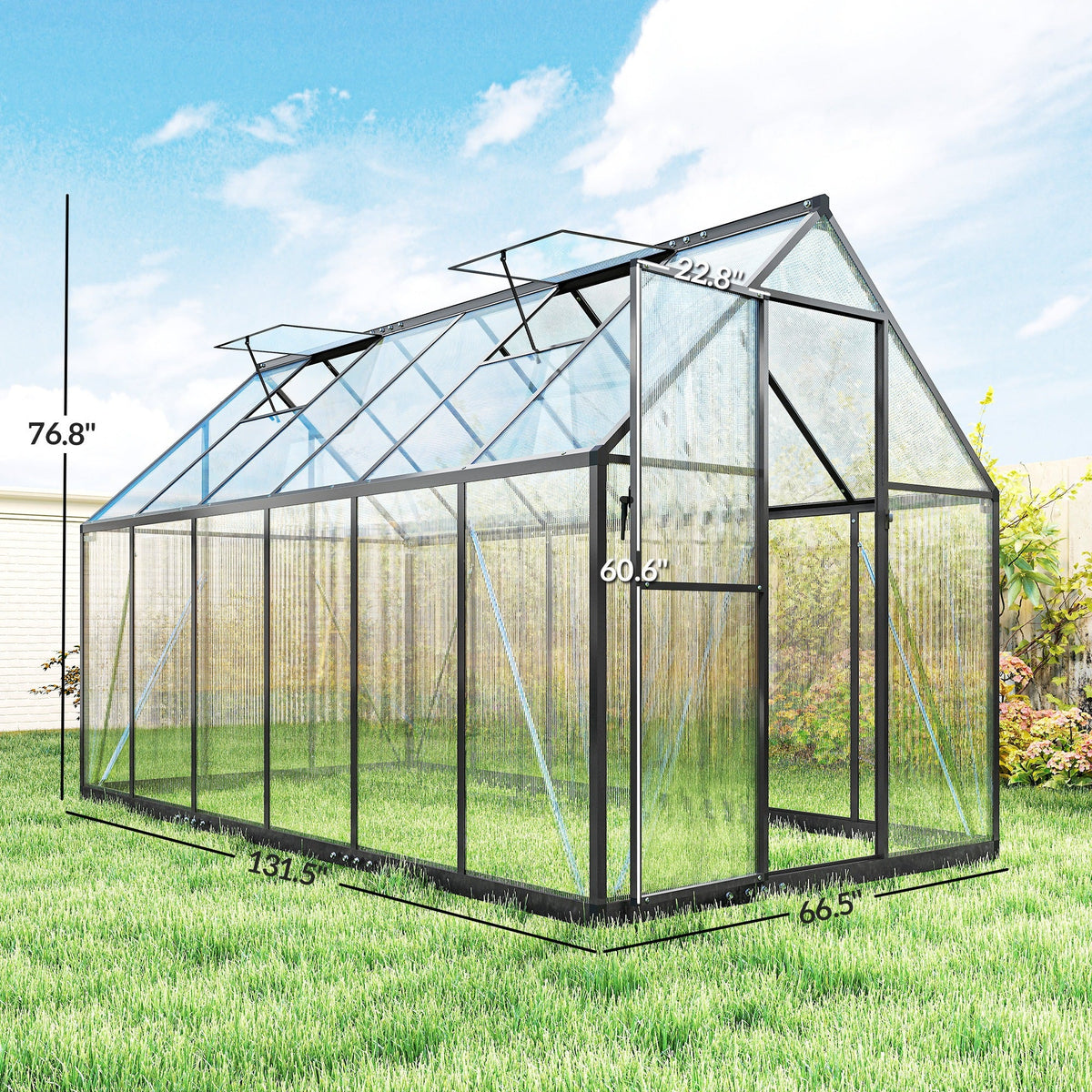 11' x 6' Polycarbonate Walk-in Greenhouse, Black
