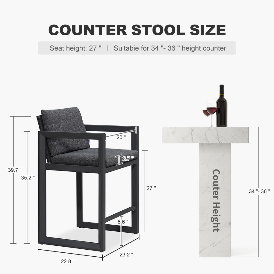 PURPLE LEAF Caesar Bar Stools Modern Aluminum Barstools with Stainless Removable Cushion for Kitchen Outside Island Backyard
