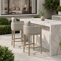 PURPLE LEAF Sanori Outdoor Bar Stools Set of 2 Modern Olefin Weaving Bar Chairs with Backrest Pillow for Patio, Poolside or Indoor