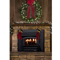 Model 21ZC Wood Stove - Black Door