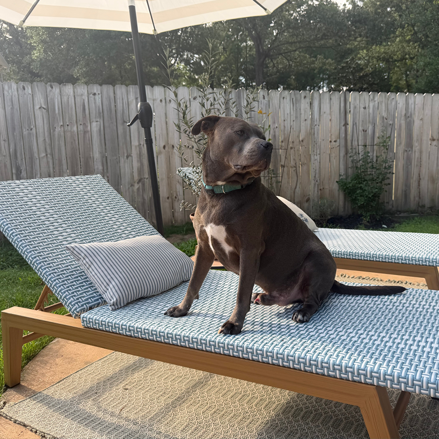 PURPLE LEAF Pool Oversized Lounge Chairs Rattan Aluminium Patio Chaise Lounge Outdoor Adjustable Recliner Finish Loungers Woven PE Sun Chairs for Poolside Deck Beach